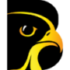 Be Falcon Solutions Logo