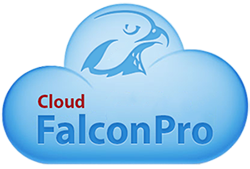 falcon cloud